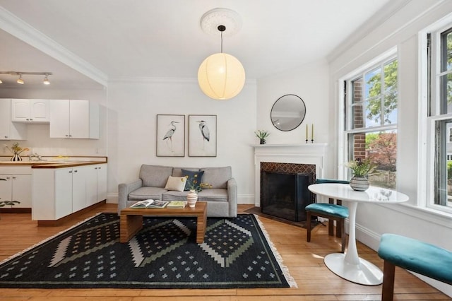 7 Linnaean St Unit 1, Cambridge, MA 02138 - living room featuring light wood finished floors, a fireplace with flush hearth, baseboards, crown molding, and rail lighting