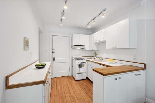 7 Linnaean St Unit 1, Cambridge, MA 02138 - kitchen featuring white gas stove, under cabinet range hood, a sink, white cabinets, and a peninsula