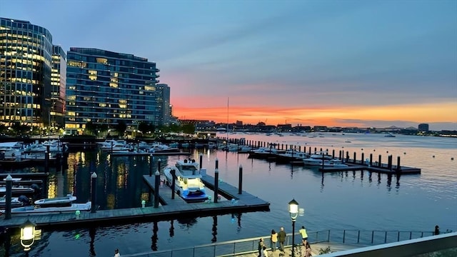 300 Blvd 3B, Boston, MA 02210 - dock area with a water view and a city view