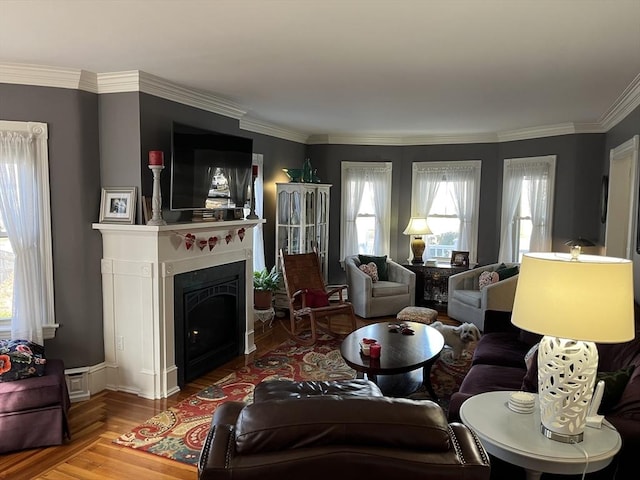 living room featuring hardwood / wood-style flooring and ornamental molding