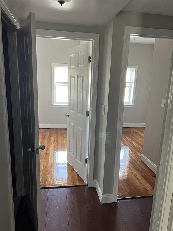 hallway featuring baseboards, a healthy amount of sunlight, and hardwood / wood-style flooring