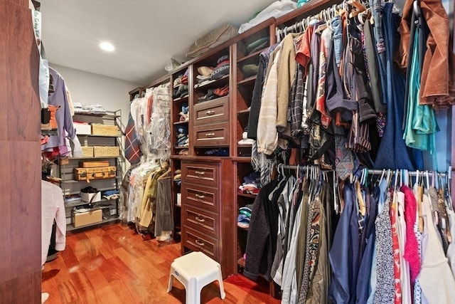 spacious closet featuring wood finished floors