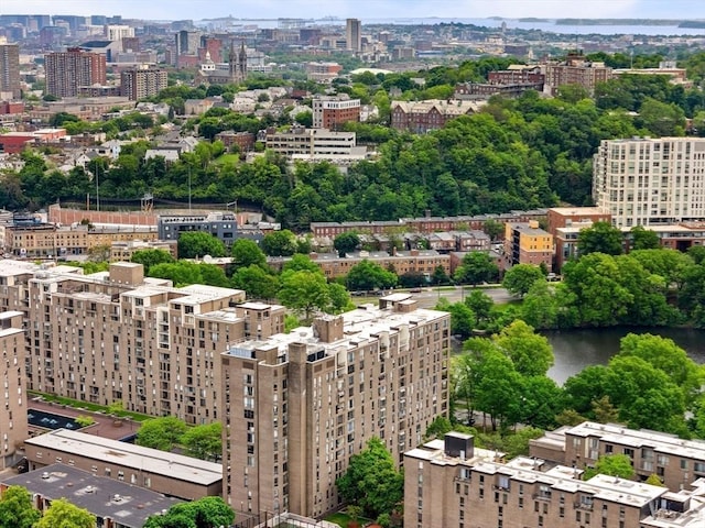 44 Washington St Unit 1208, Brookline, MA 02445 - view of urban area