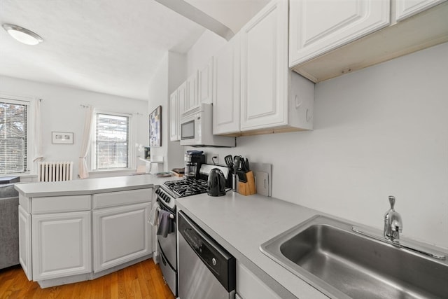 kitchen with light wood-type flooring, stainless steel appliances, a healthy amount of sunlight, and sink