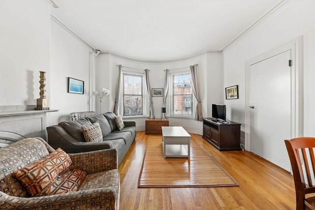 living room with light hardwood / wood-style flooring and ornamental molding