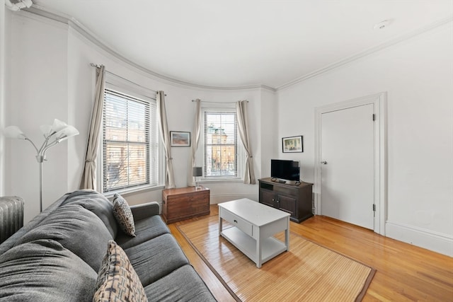 living room with light hardwood / wood-style flooring and ornamental molding