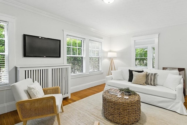 88 Brush Hill Rd, Milton, MA 02186 - living area with wood finished floors and crown molding