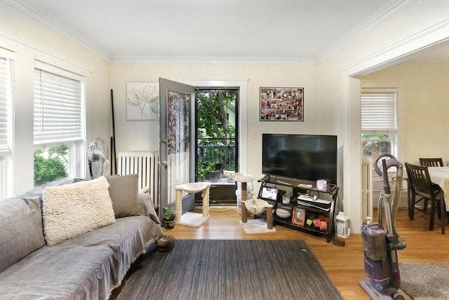 88 Brush Hill Rd, Milton, MA 02186 - living area with radiator heating unit, wood finished floors, and ornamental molding
