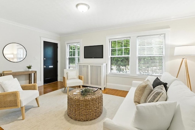 88 Brush Hill Rd, Milton, MA 02186 - living area with ornamental molding and wood finished floors