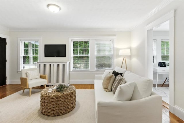 88 Brush Hill Rd, Milton, MA 02186 - living room featuring ornamental molding and wood finished floors