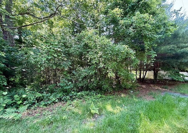 0 Sandwich Unit Lot28, Falmouth, MA 02536
