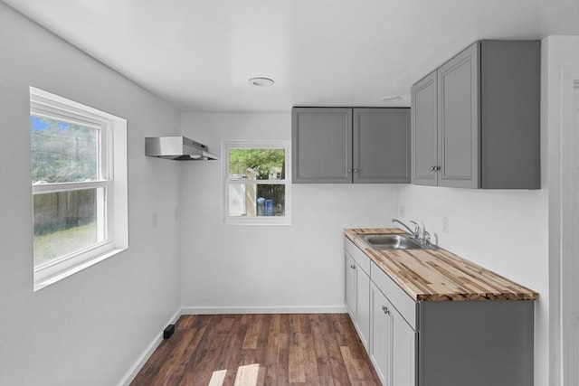 washroom with dark hardwood / wood-style flooring, sink, and plenty of natural light