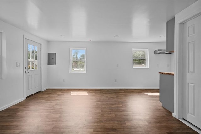 interior space featuring electric panel and dark hardwood / wood-style floors