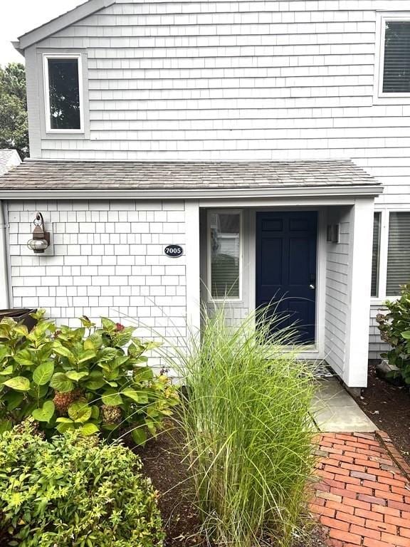 view of exterior entry featuring a shingled roof