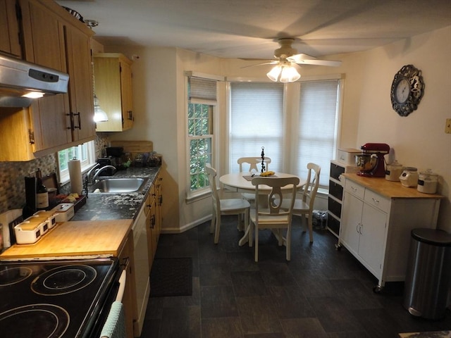kitchen featuring black / electric stove, a ceiling fan, a sink, under cabinet range hood, and tasteful backsplash