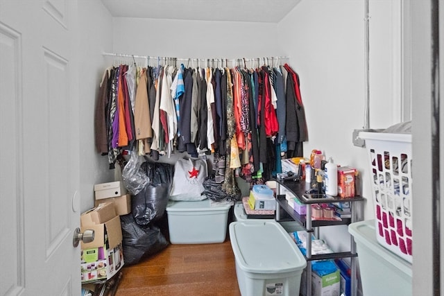 spacious closet featuring wood-type flooring