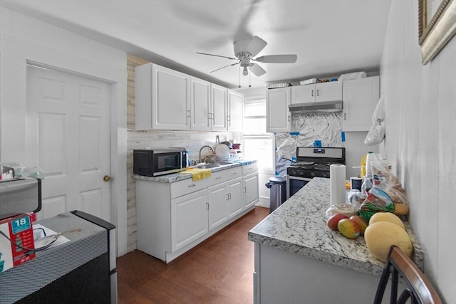 kitchen featuring sink, white cabinetry, stainless steel appliances, dark hardwood / wood-style floors, and light stone countertops