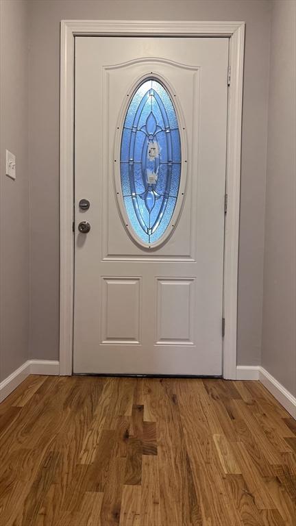 foyer featuring wood-type flooring