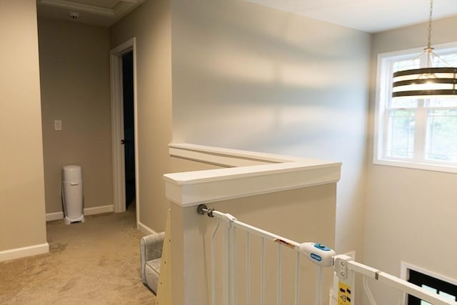 82 Davenport St, Springfield, MA 01119 - hall with light colored carpet, healthy amount of natural light, baseboards, and an upstairs landing