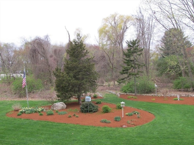 view of community with a lawn