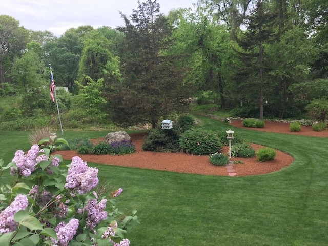 view of community featuring a lawn