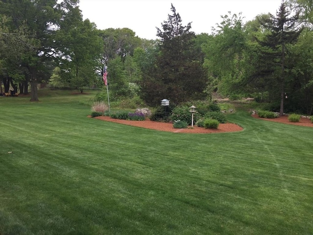 view of property's community featuring a lawn