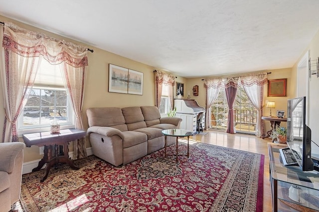 living room featuring baseboards and wood finished floors