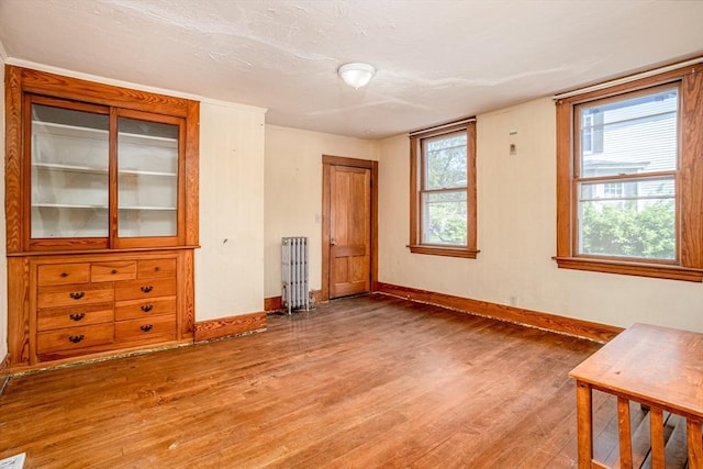 15 Green St, Gardner, MA 01440 - empty room with wood finished floors and radiator