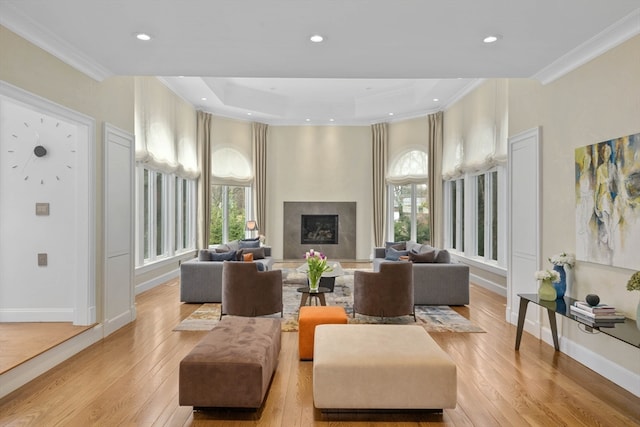 interior space featuring light hardwood / wood-style floors, crown molding, and a healthy amount of sunlight