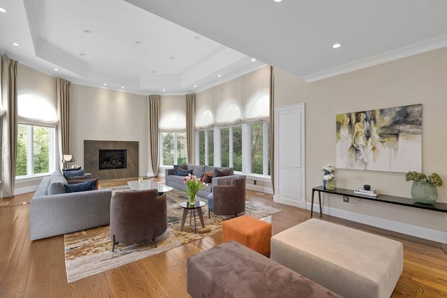 living room with light hardwood / wood-style floors, ornamental molding, and a raised ceiling