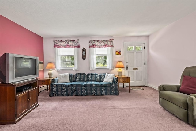 253 Rock St Unit 253, Norwood, MA 02062 - living room with carpet flooring and baseboard heating