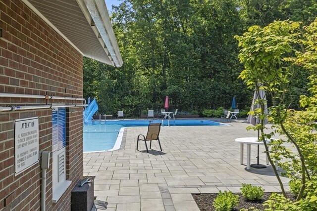 253 Rock St Unit 253, Norwood, MA 02062 - view of community pool