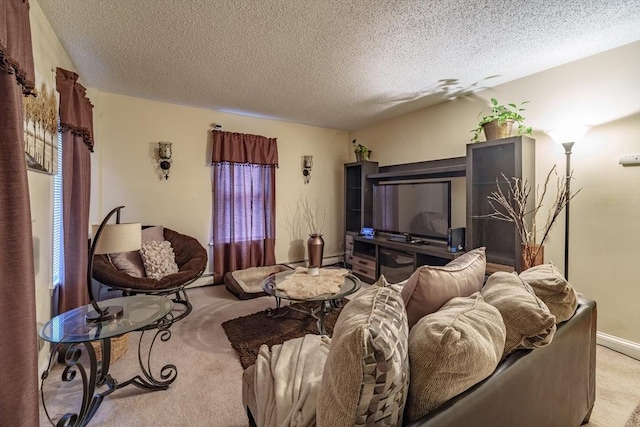 carpeted living room with a textured ceiling