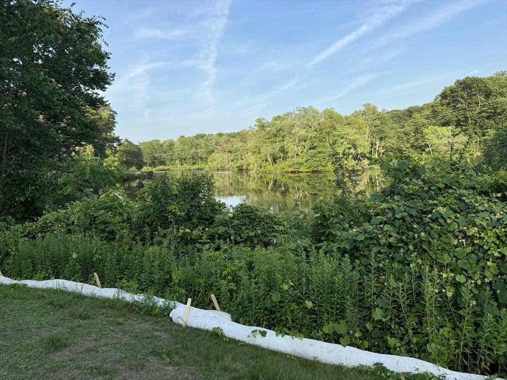 102A Eliot St, Natick, MA 01760 - view of wooded area with a water view