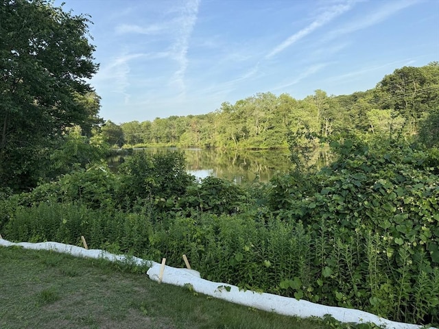 102A Eliot St, Natick, MA 01760 - view of wooded area with a water view