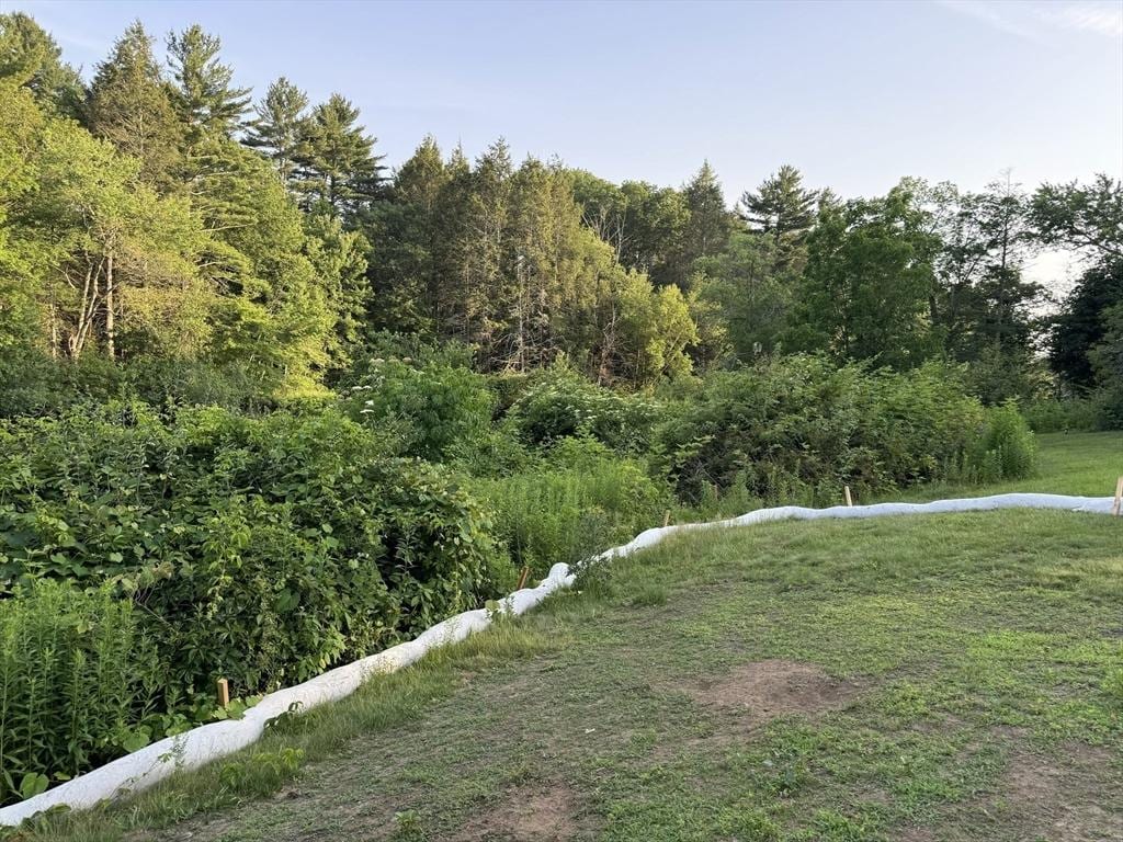 102A Eliot St, Natick, MA 01760 - view of yard with a wooded view