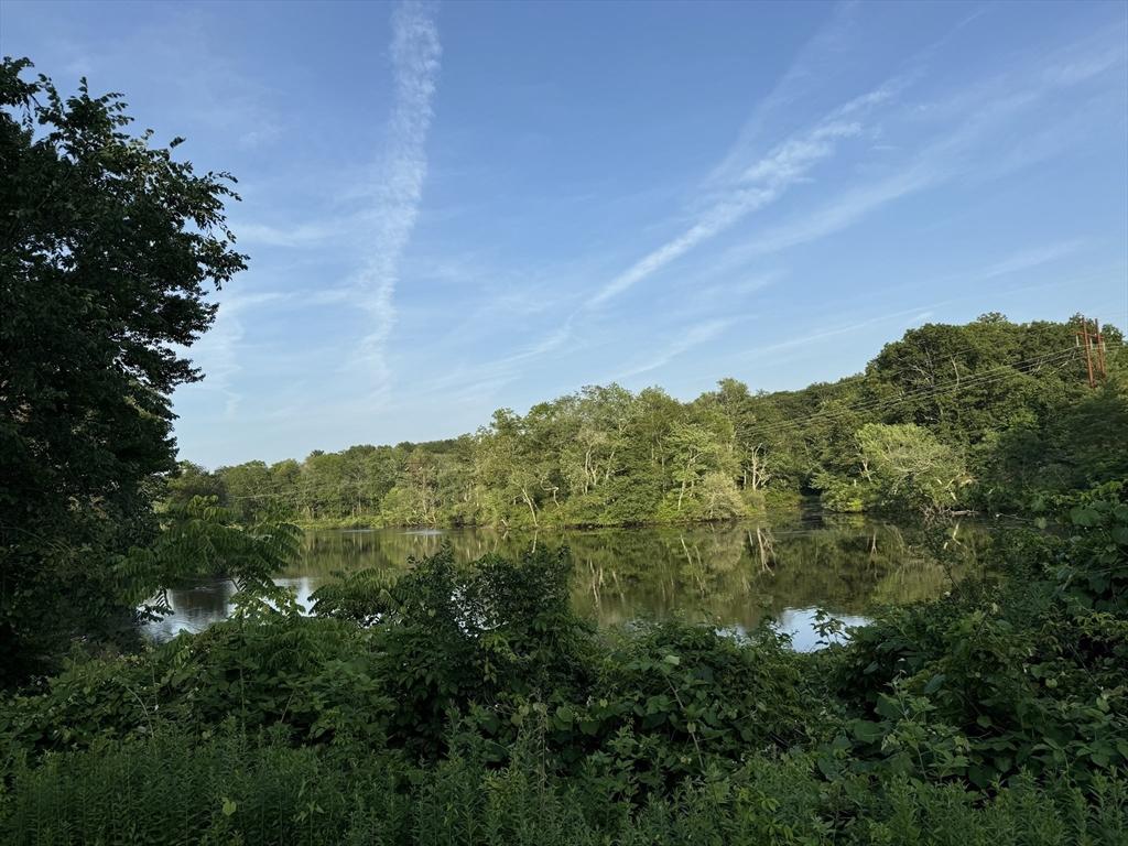 102A Eliot St, Natick, MA 01760 - view of tree filled area with a water view