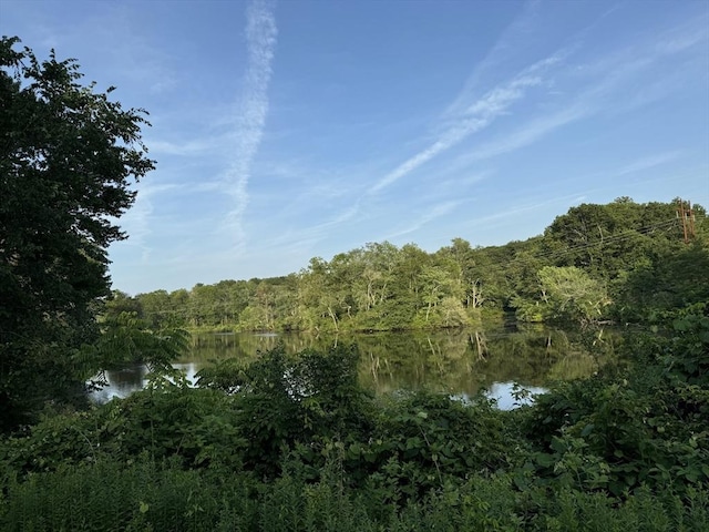 102A Eliot St, Natick, MA 01760 - view of tree filled area with a water view