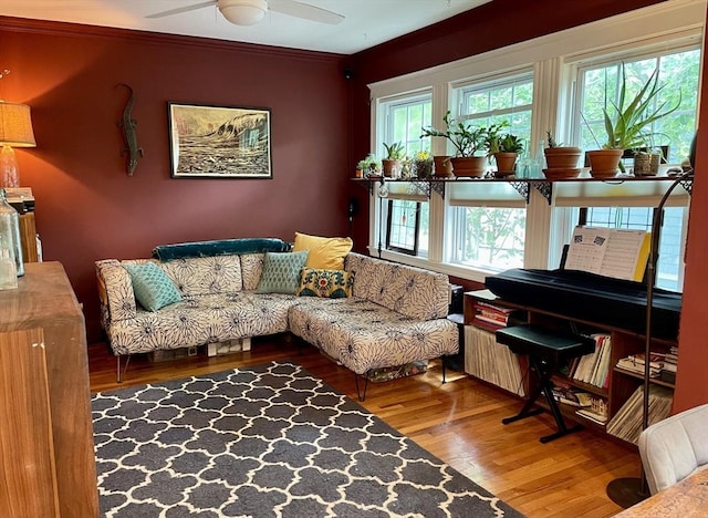 75 Rossmore Rd Unit 5, Boston, MA 02130 - living room with wood finished floors, a ceiling fan, and ornamental molding
