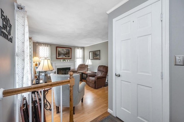 718 Wellman Ave Unit 718, Chelmsford, MA 01863 - living area with ornamental molding, a glass covered fireplace, and wood finished floors