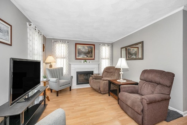 718 Wellman Ave Unit 718, Chelmsford, MA 01863 - living room featuring light wood-type flooring, a glass covered fireplace, ornamental molding, and baseboards