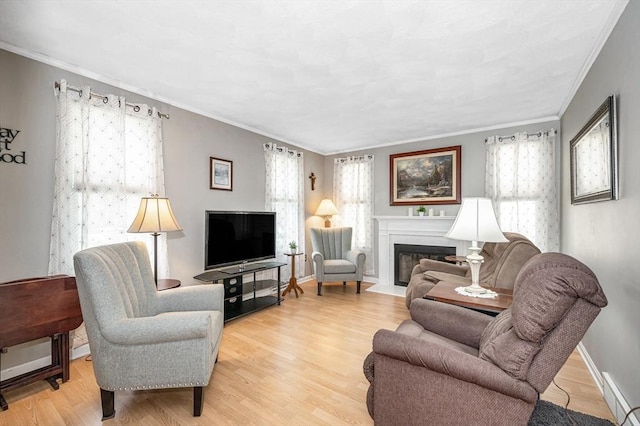 718 Wellman Ave Unit 718, Chelmsford, MA 01863 - living room with wood finished floors, a glass covered fireplace, crown molding, and baseboards