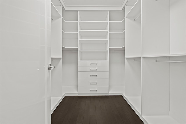 walk in closet with dark hardwood / wood-style floors