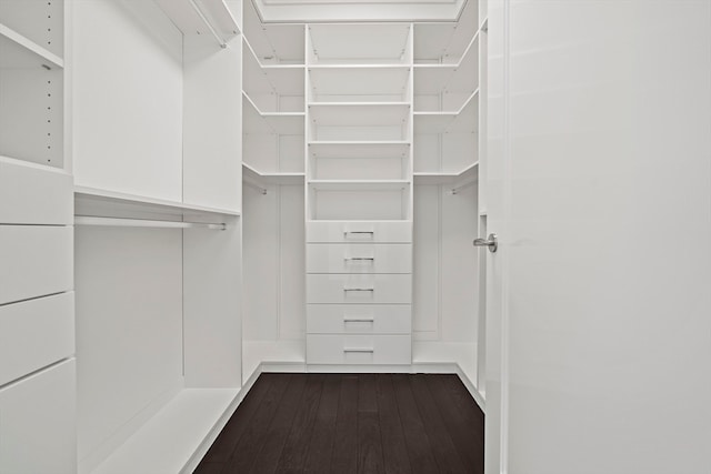 spacious closet with dark hardwood / wood-style floors