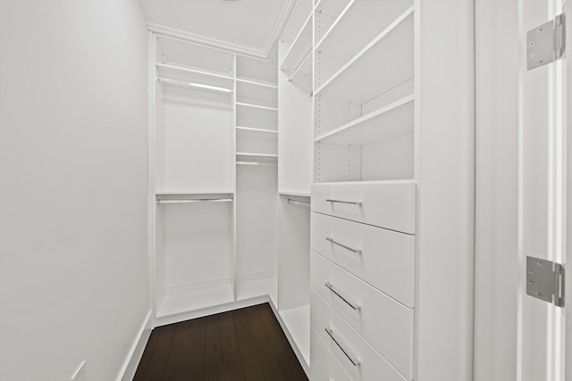 spacious closet with dark hardwood / wood-style floors