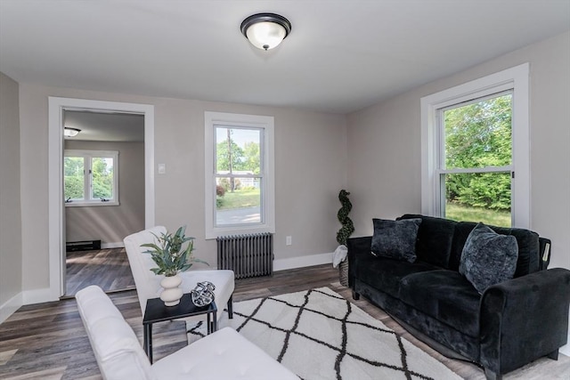 7 2nd Ave, Ware, MA 01082 - living room with radiator and wood finished floors