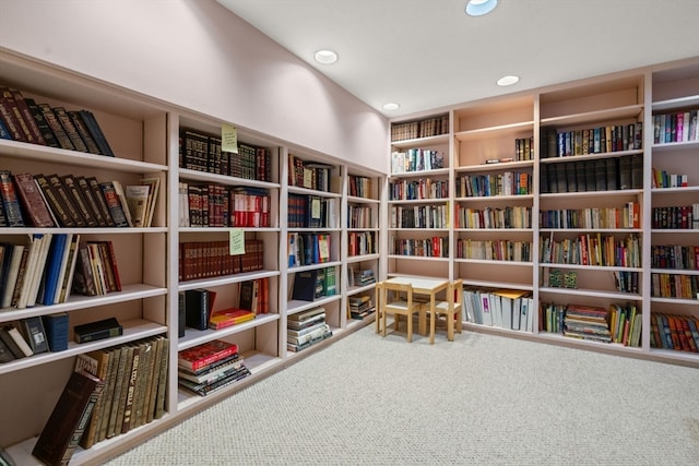 sitting room featuring carpet flooring