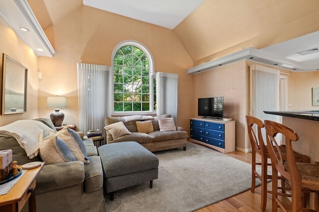 living room featuring lofted ceiling and hardwood / wood-style flooring