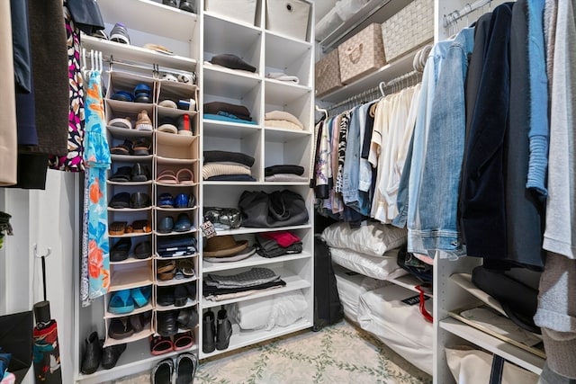 view of spacious closet