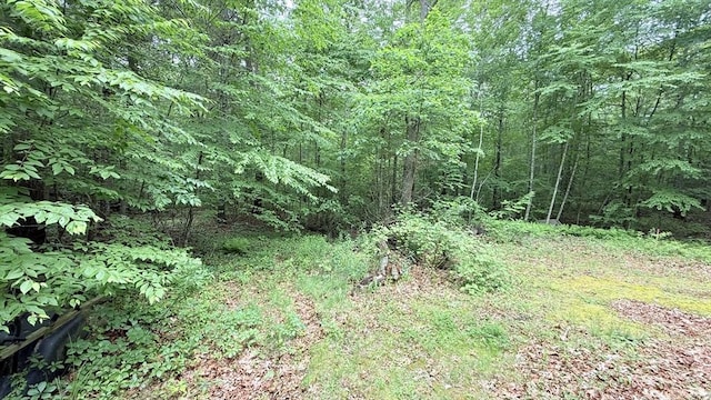 1755 Maple St, Dighton, MA 02764 - view of woods